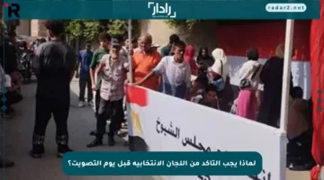 لماذا يجب التأكد من اللجان الانتخابية قبل يوم التصويت؟